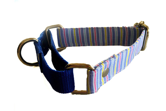 Wire Stripe Martingale Collar