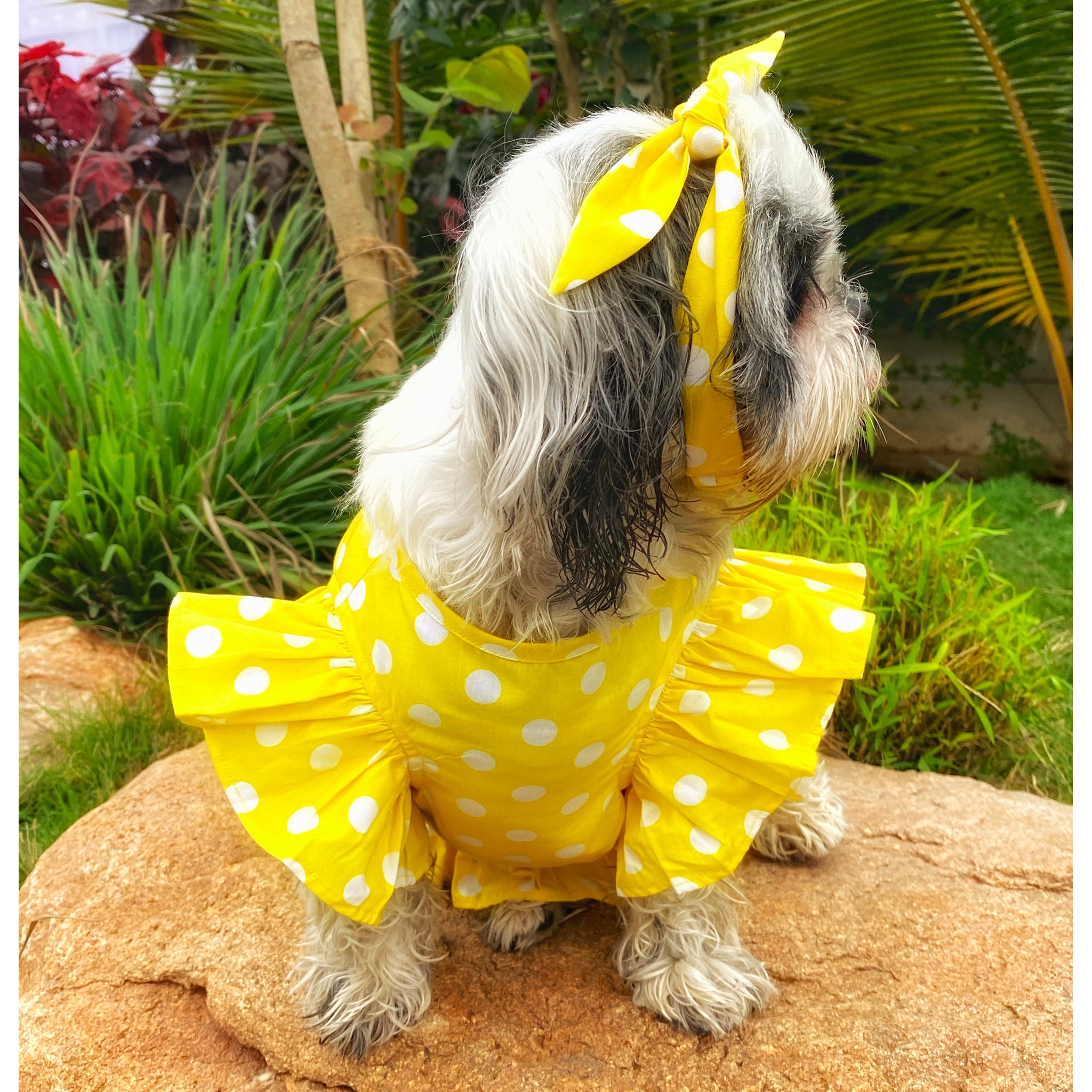 Yellow polka 2025 dot raincoat