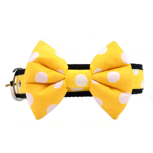 Yellow Polkadot Bow Collar