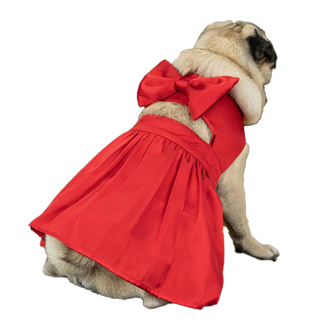 Pug dog hotsell dress online